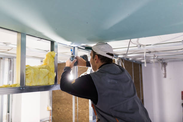 Best DIY Insulation Kits and Guidance in Rochester, NY