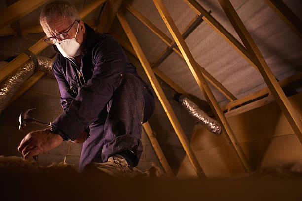 Types of Insulation We Offer in Rochester, NY