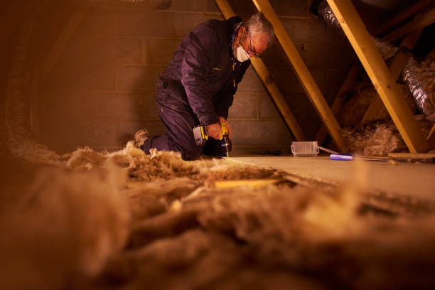 Best Geographic-Specific Insulation Services in Rochester, NY