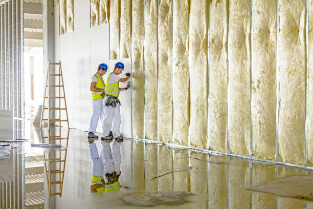 Best Eco-Friendly Insulation in Rochester, NY